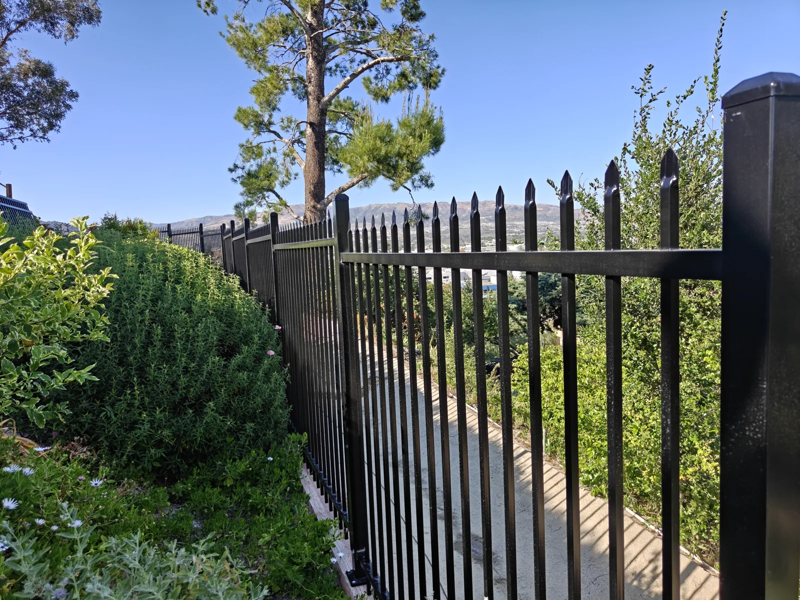 6-foot black spear-top wrought iron coyote and wildlife barrier fence on a hillside in West Hills, CA by Apexguard Fence